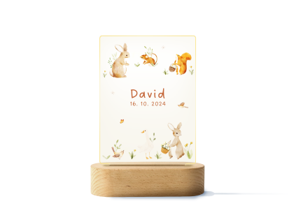 david rozsviceny