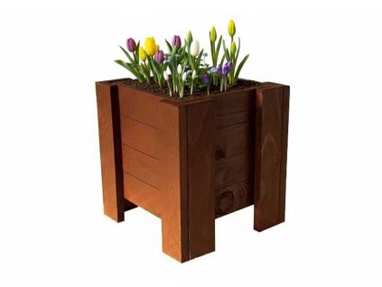 teak