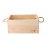 BOX SE ŠŇÚRKOU 24.5 x 17 x 11 CM 2