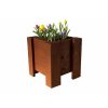 teak